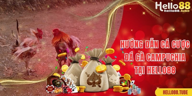 Hướng dẫn cược đá gà Campuchia tại website Hello88