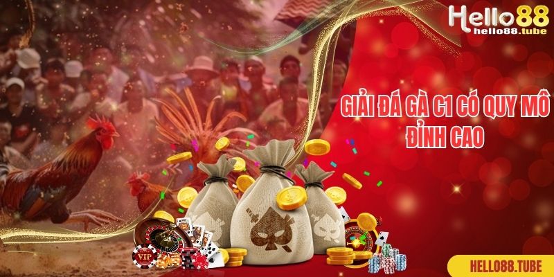 Giải đá gà C1 có quy mô đỉnh cao