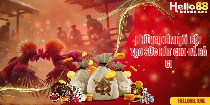 Những điểm nổi bật tạo sức hút cho đá gà C1
